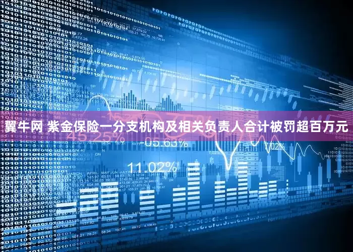 翼牛网 紫金保险一分支机构及相关负责人合计被罚超百万元