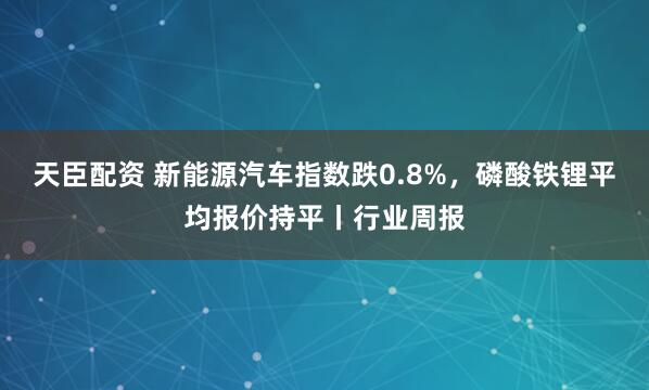 天臣配资 新能源汽车指数跌0.8%，磷酸铁锂平均报价持平丨行业周报