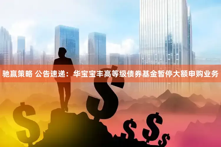 驰赢策略 公告速递：华宝宝丰高等级债券基金暂停大额申购业务