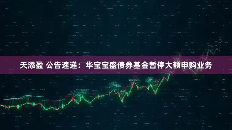 天添盈 公告速递：华宝宝盛债券基金暂停大额申购业务