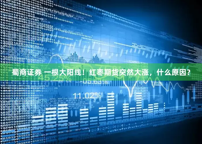 蜀商证券 一根大阳线！红枣期货突然大涨，什么原因？