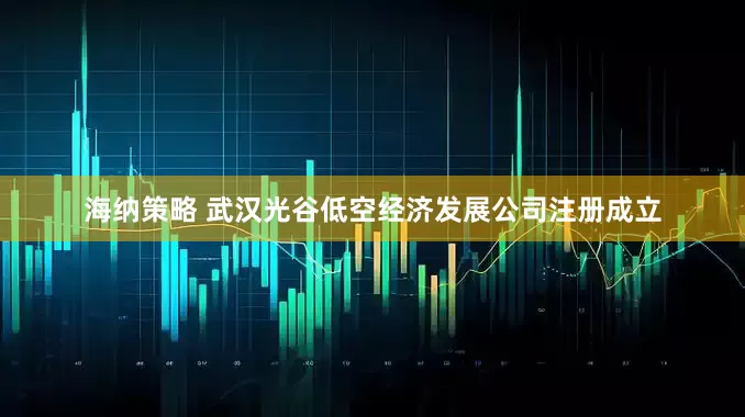 海纳策略 武汉光谷低空经济发展公司注册成立