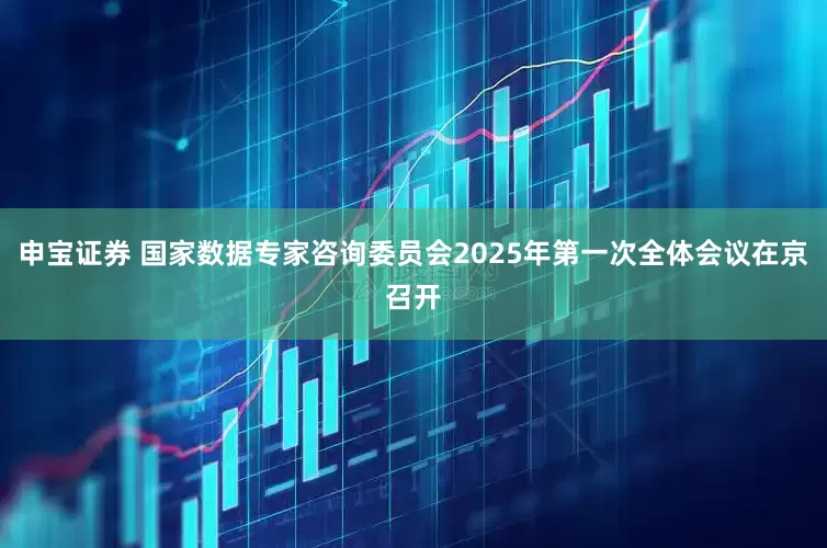 申宝证券 国家数据专家咨询委员会2025年第一次全体会议在京召开