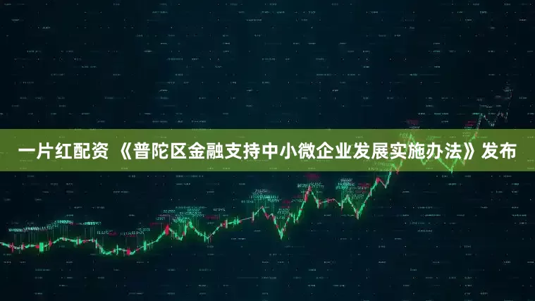 一片红配资 《普陀区金融支持中小微企业发展实施办法》发布
