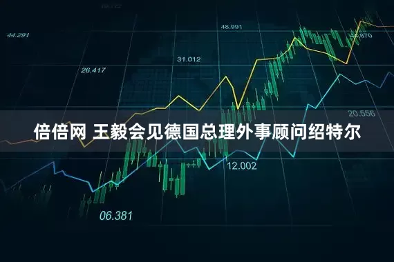 倍倍网 王毅会见德国总理外事顾问绍特尔