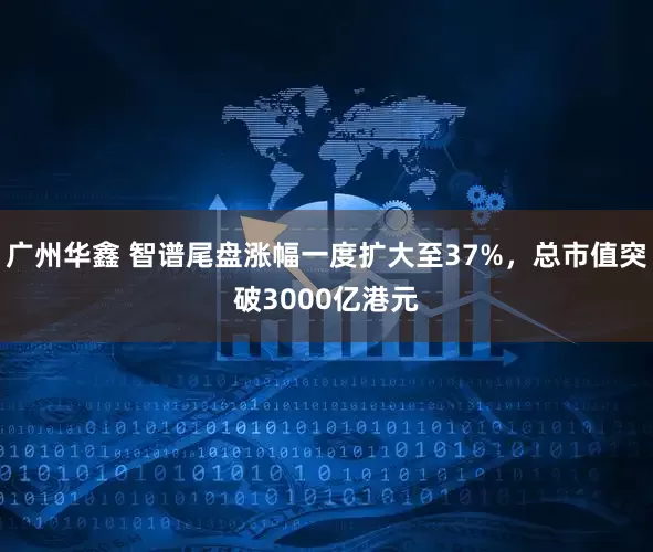 广州华鑫 智谱尾盘涨幅一度扩大至37%，总市值突破3000亿港元